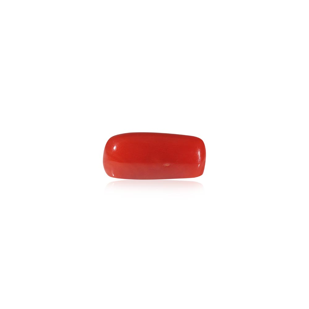 Red Coral - 6.71 Carat