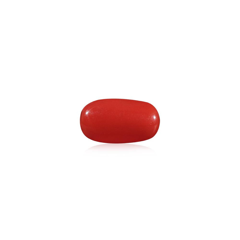 Red Coral - 6.72 Carat