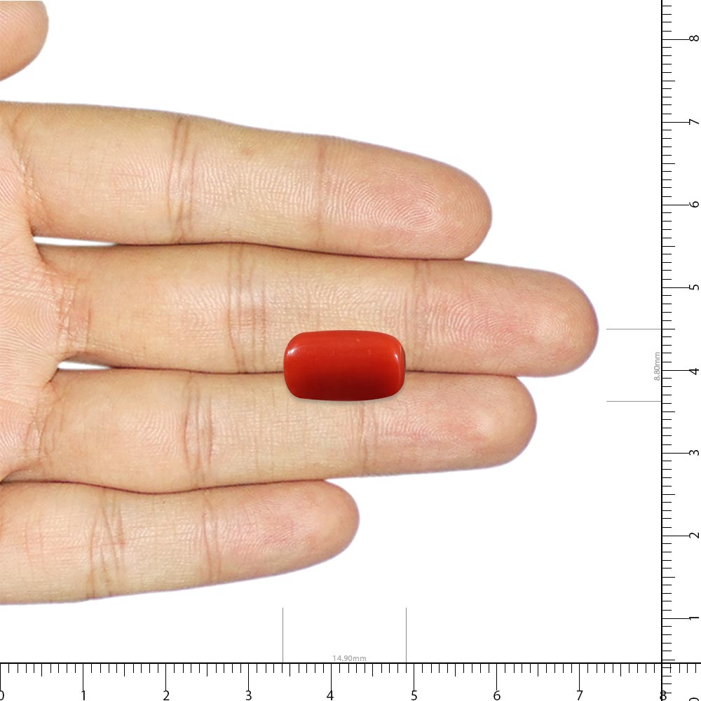 Red Coral - 6.74 Carat