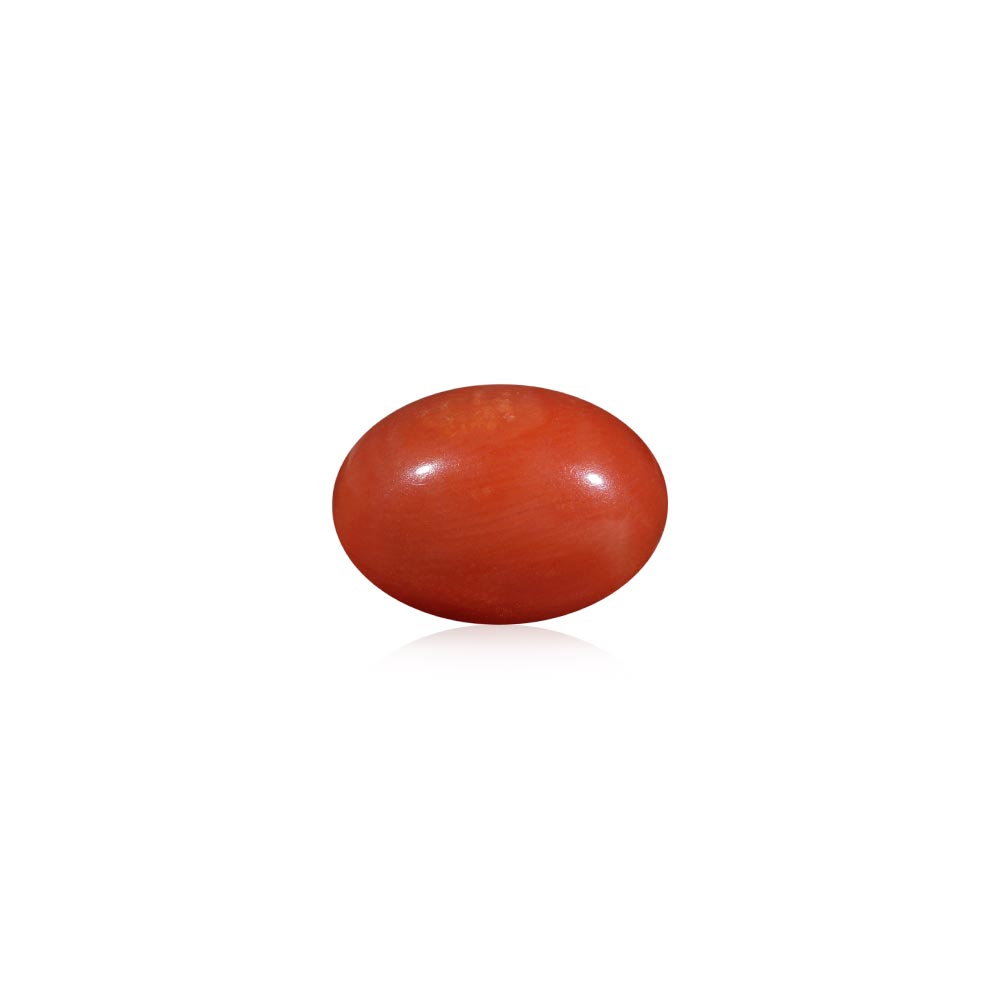 Red Coral - 6.75 Carat