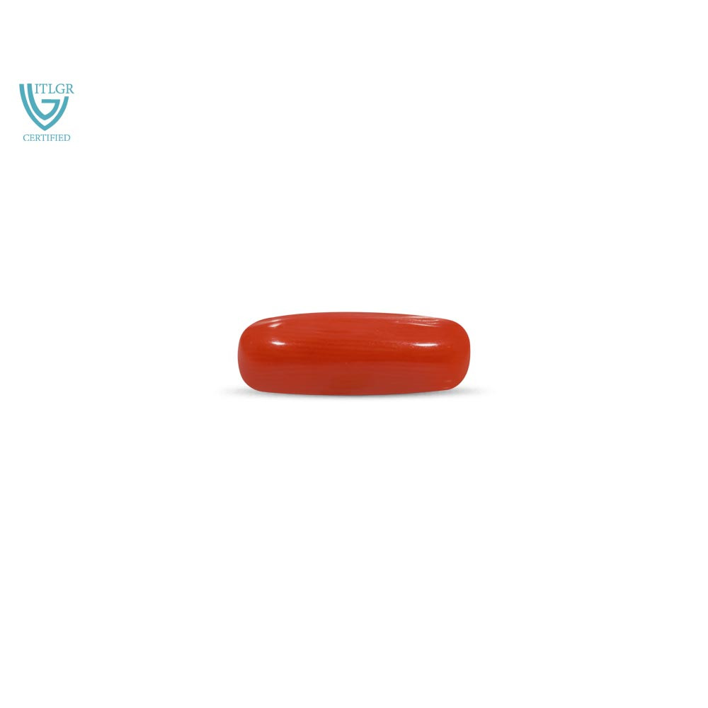 Red Coral - 6.88 Carat