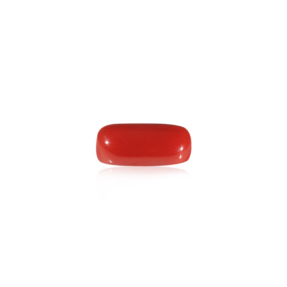 Red Coral - 6.9 Carat