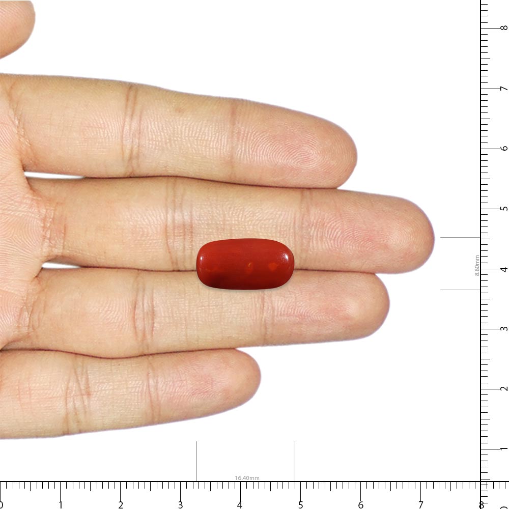 Red Coral - 6.97 Carat