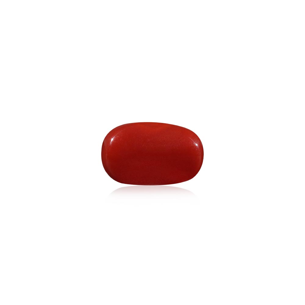 Red Coral - 6.98 Carat