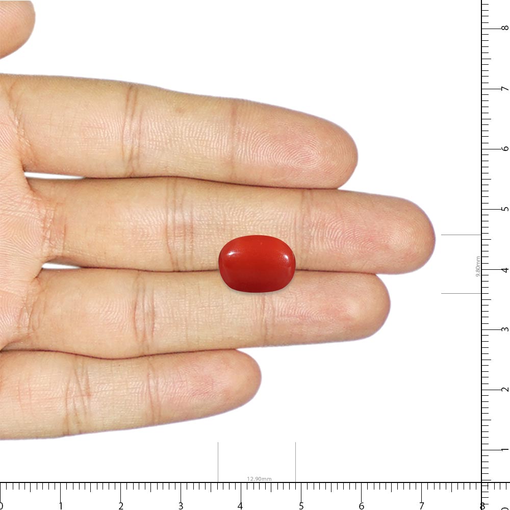 Red Coral - 7.01 Carat