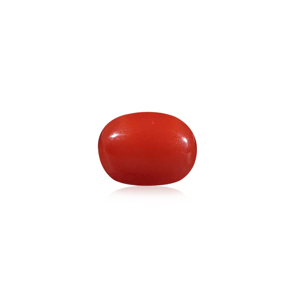 Red Coral - 7.01 Carat