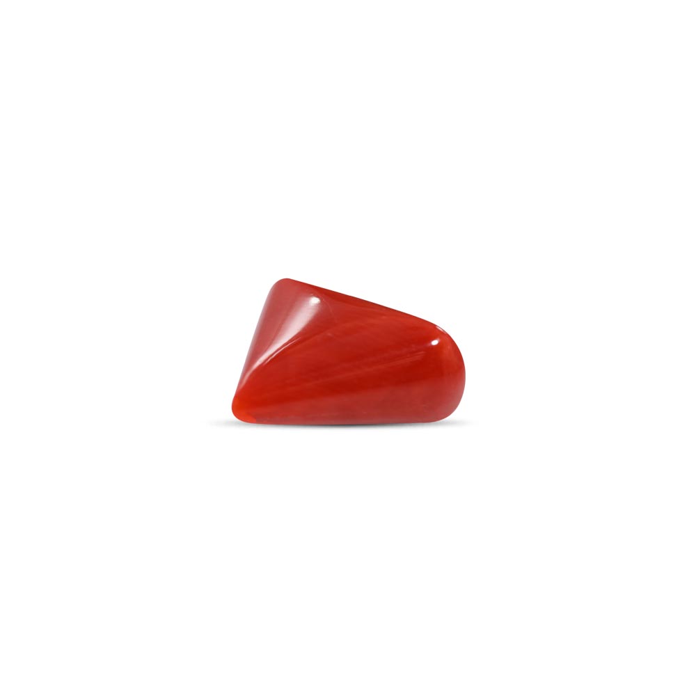 Red Coral - 7.01 Carat