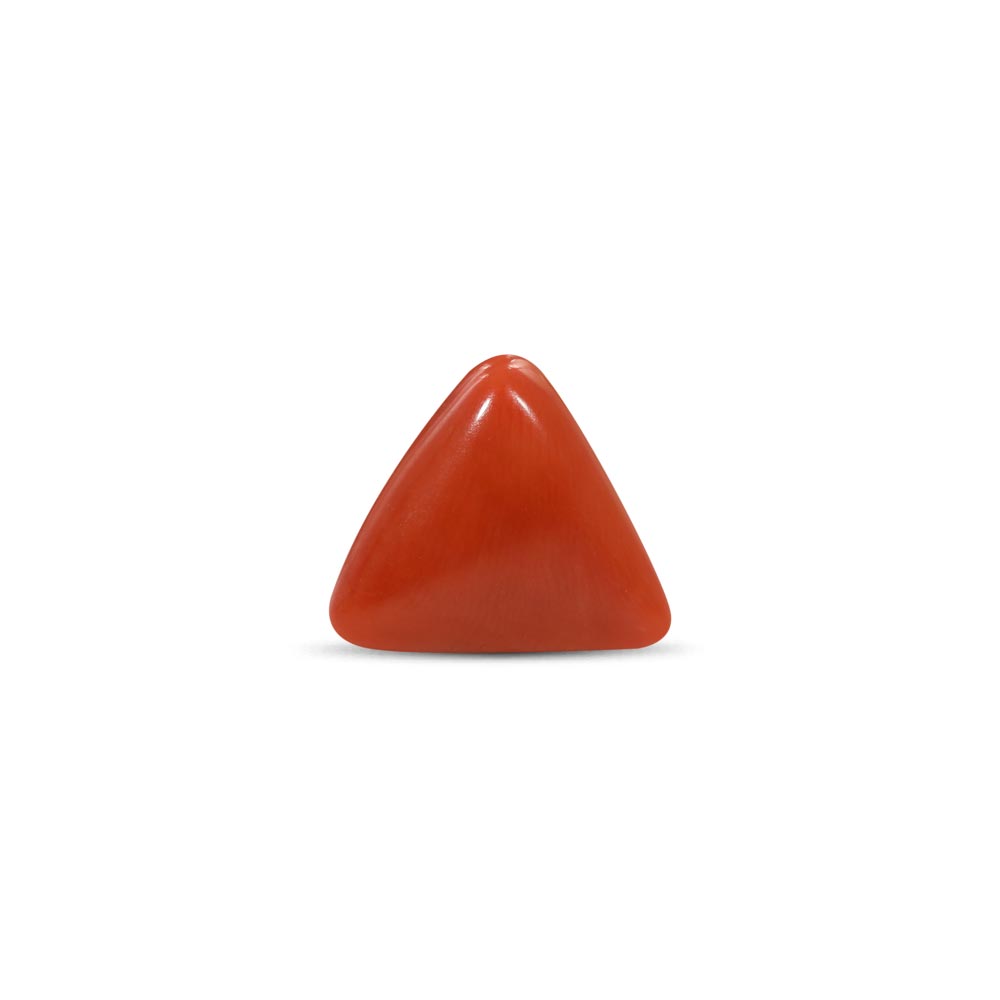Red Coral - 7.01 Carat