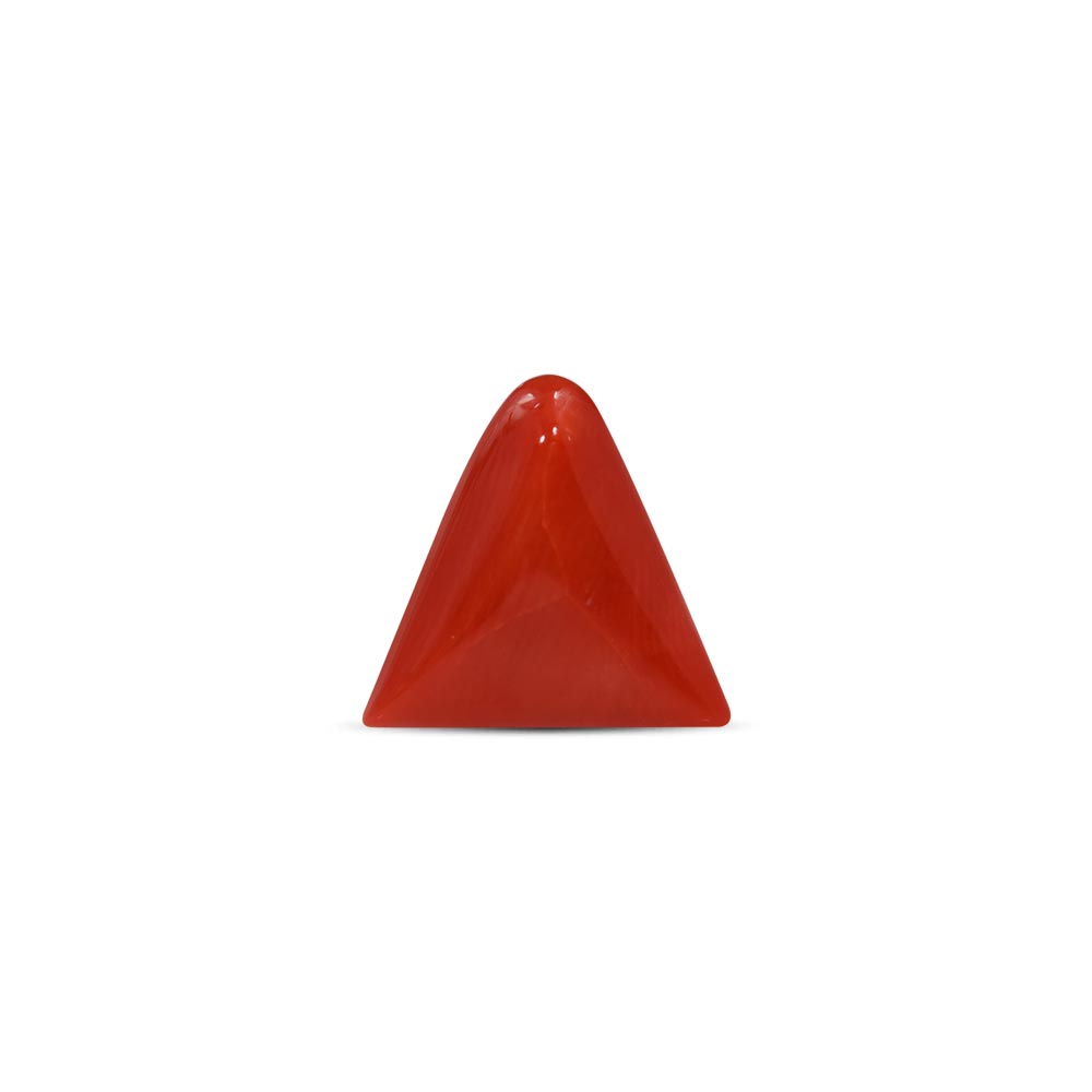 Red Coral - 7.01 Carat