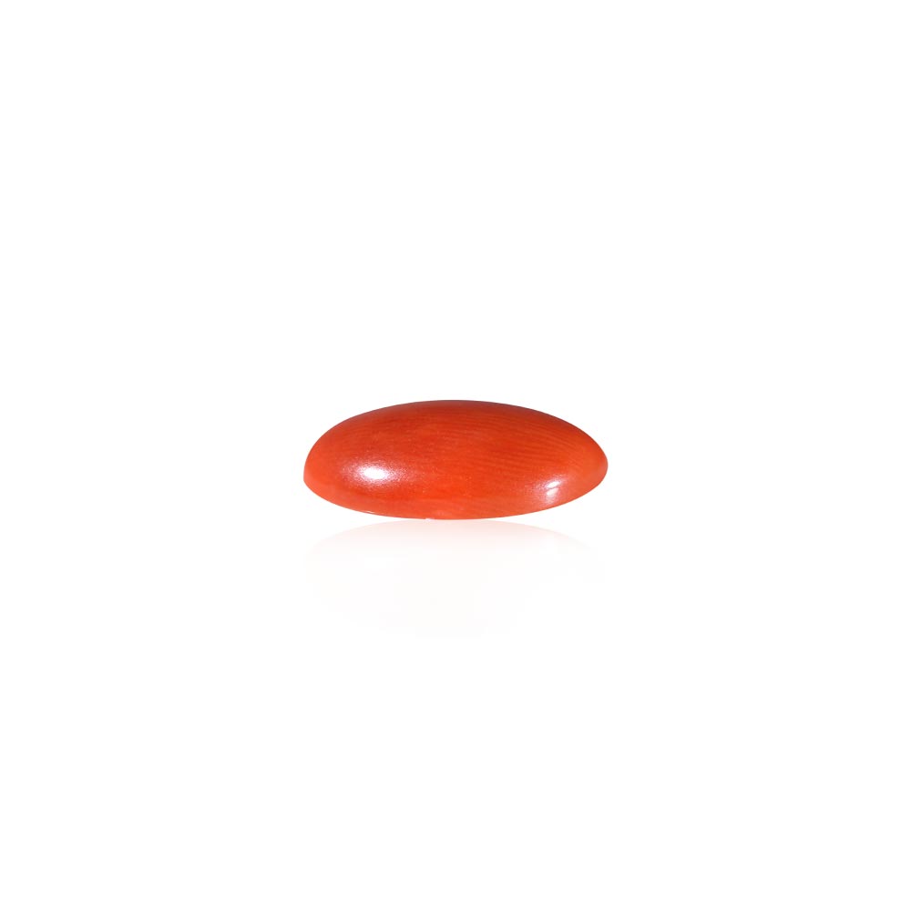 Red Coral - 7.04 Carat