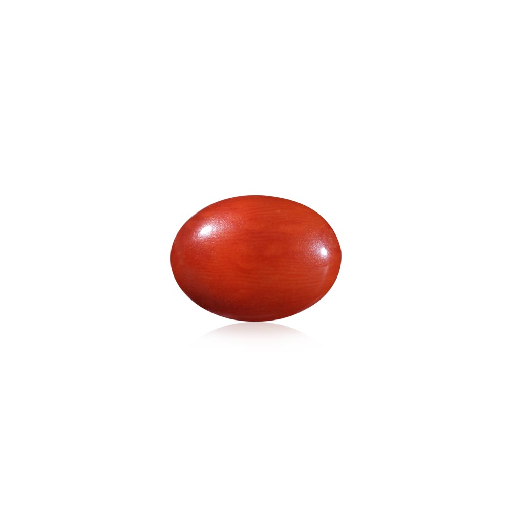 Red Coral - 7.04 Carat