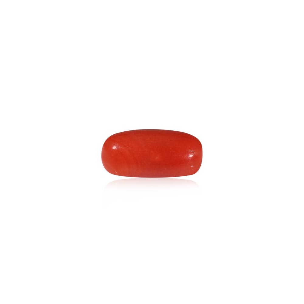 Red Coral - 7.05 Carat