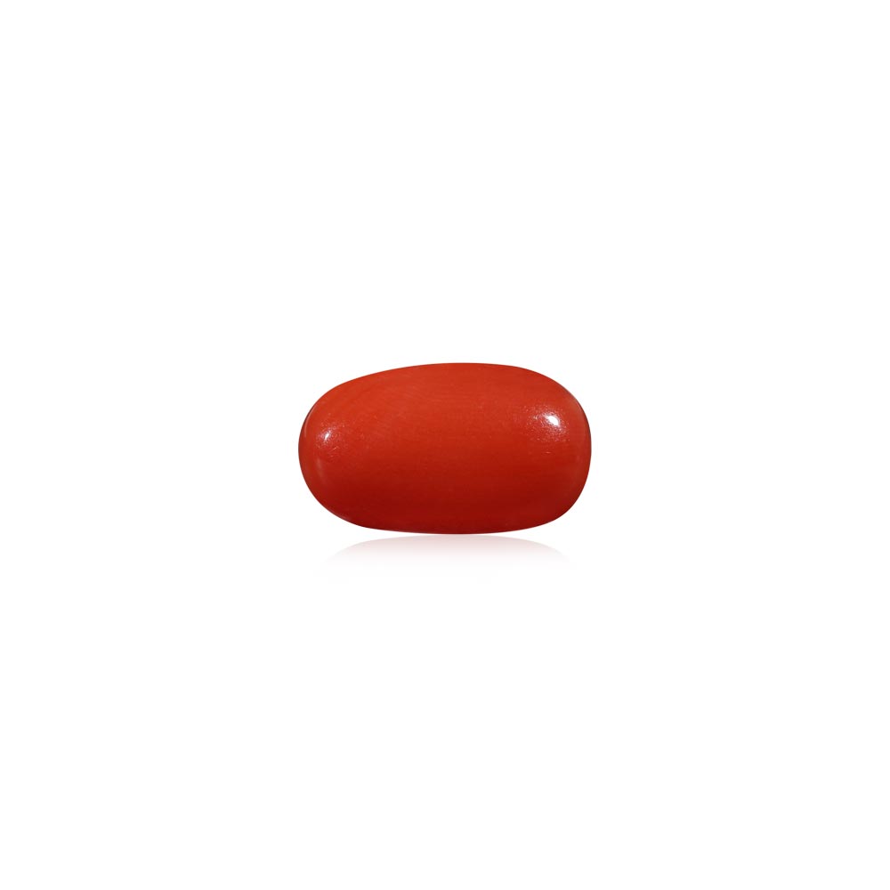 Red Coral - 7.05 Carat