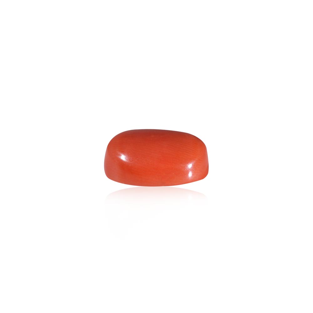 Red Coral - 7.06 Carat