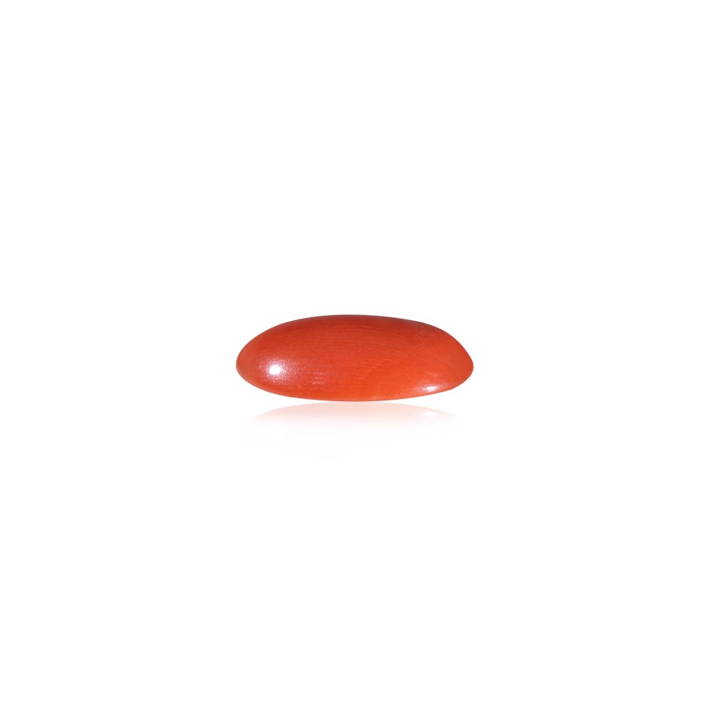 Red Coral - 7.06 Carat