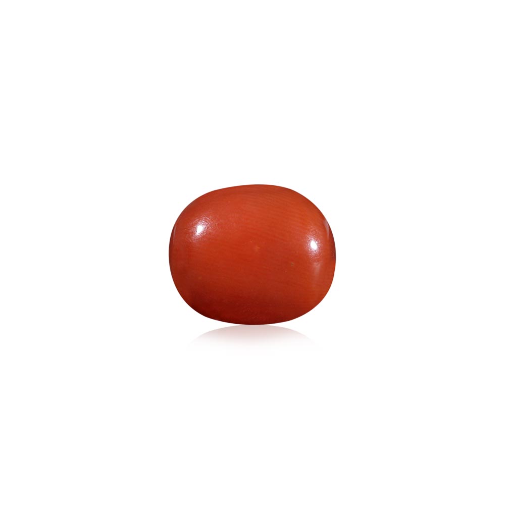 Red Coral - 7.06 Carat