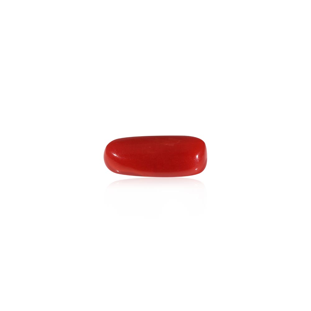 Red Coral - 7.08 Carat