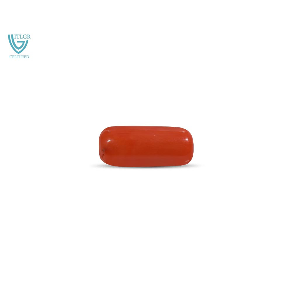 Red Coral - 7.1 Carat
