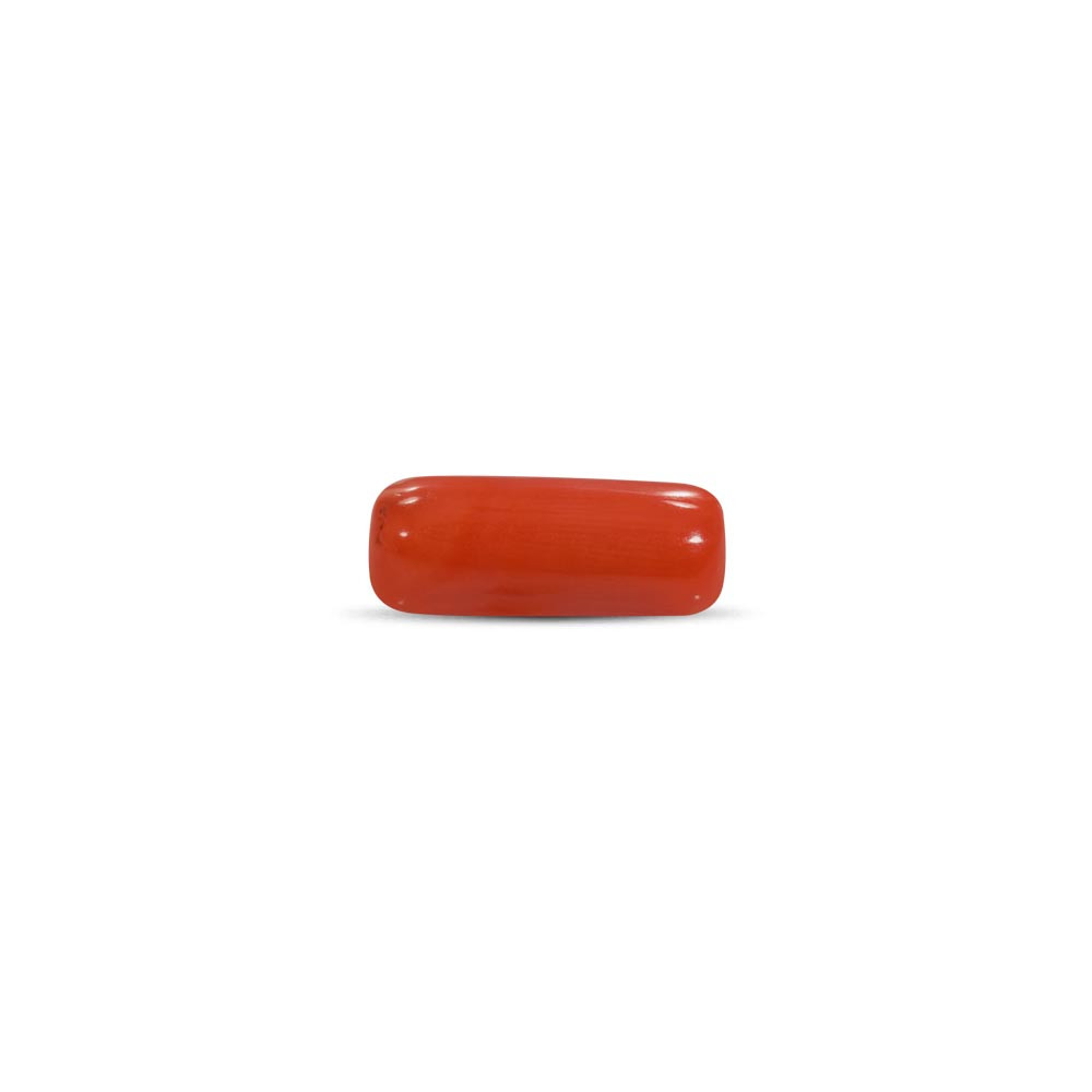 Red Coral - 7.1 Carat