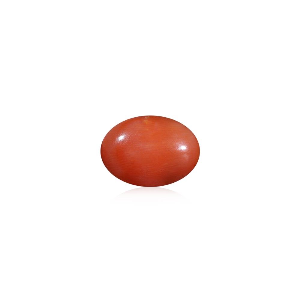 Red Coral - 7.12 Carat