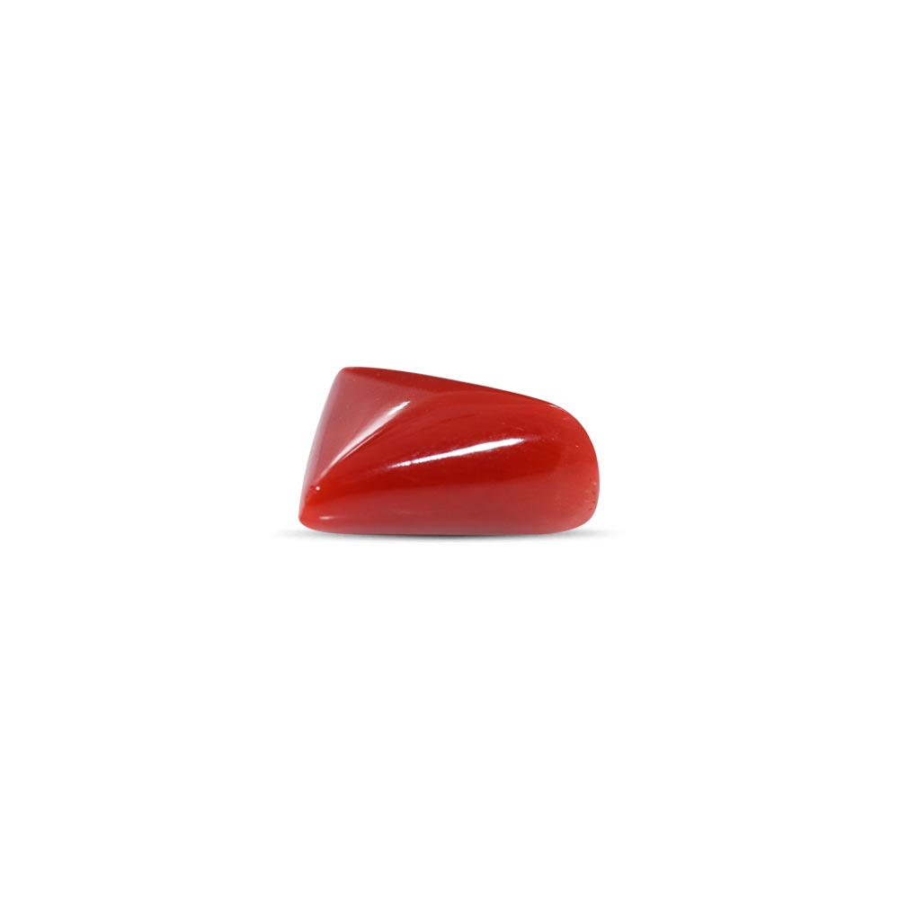 Red Coral - 7.12 Carat