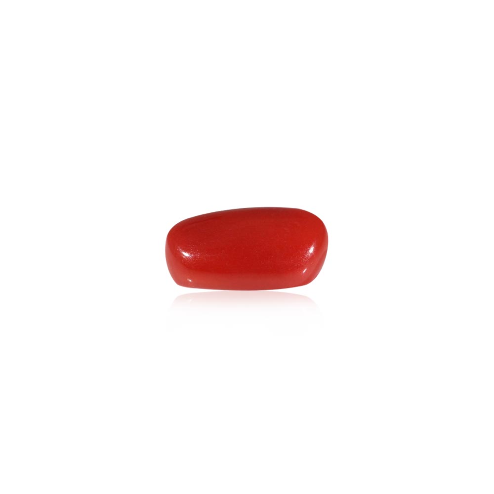 Red Coral - 7.17 Carat