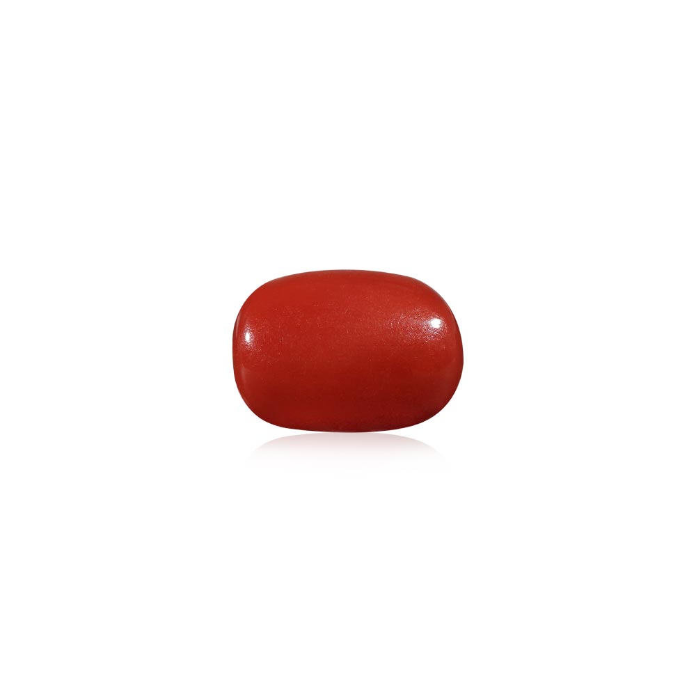 Red Coral - 7.17 Carat