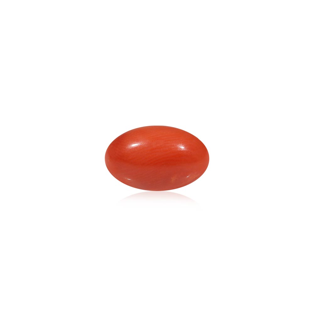 Red Coral - 7.21 Carat