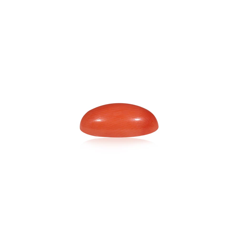 Red Coral - 7.21 Carat