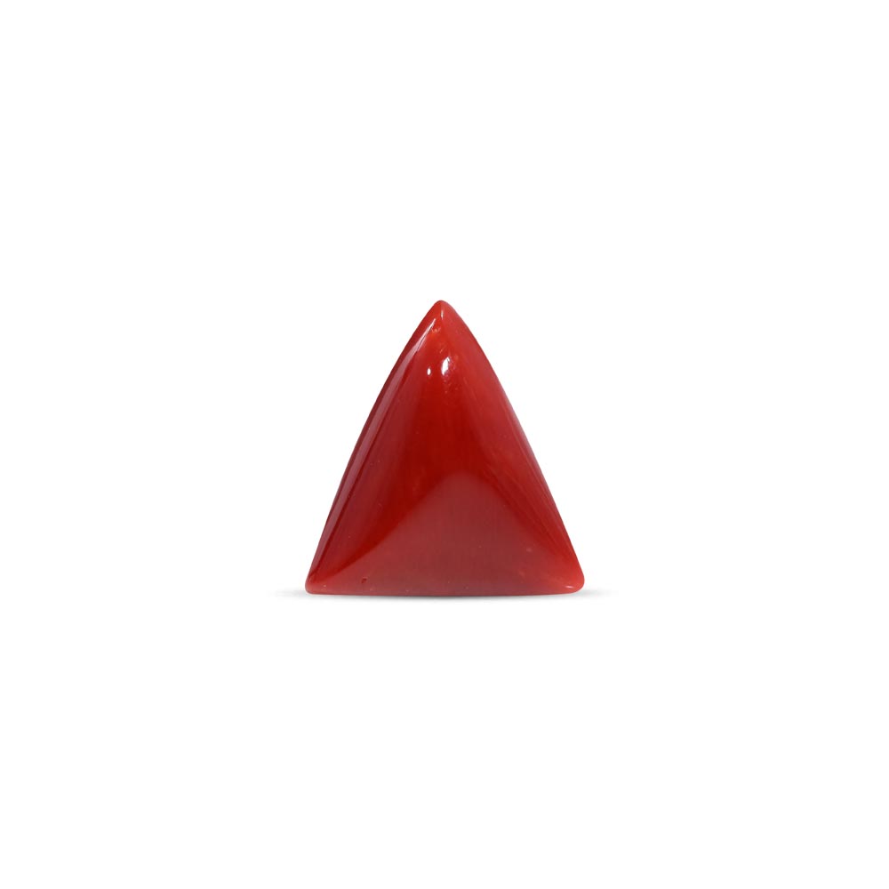 Red Coral - 7.21 Carat