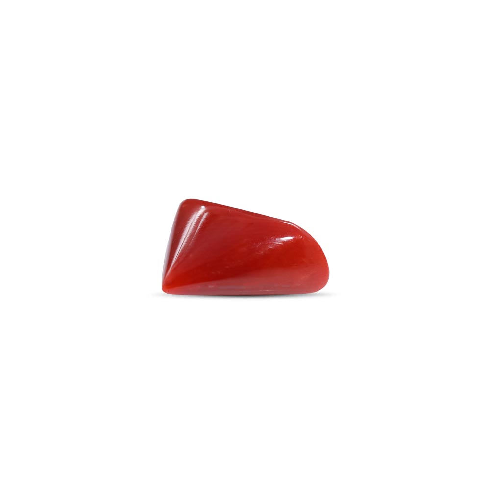 Red Coral - 7.21 Carat