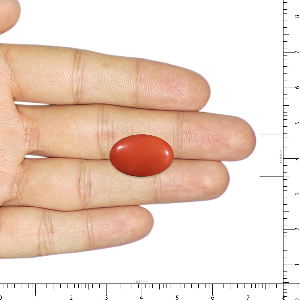 Red Coral - 7.26 Carat