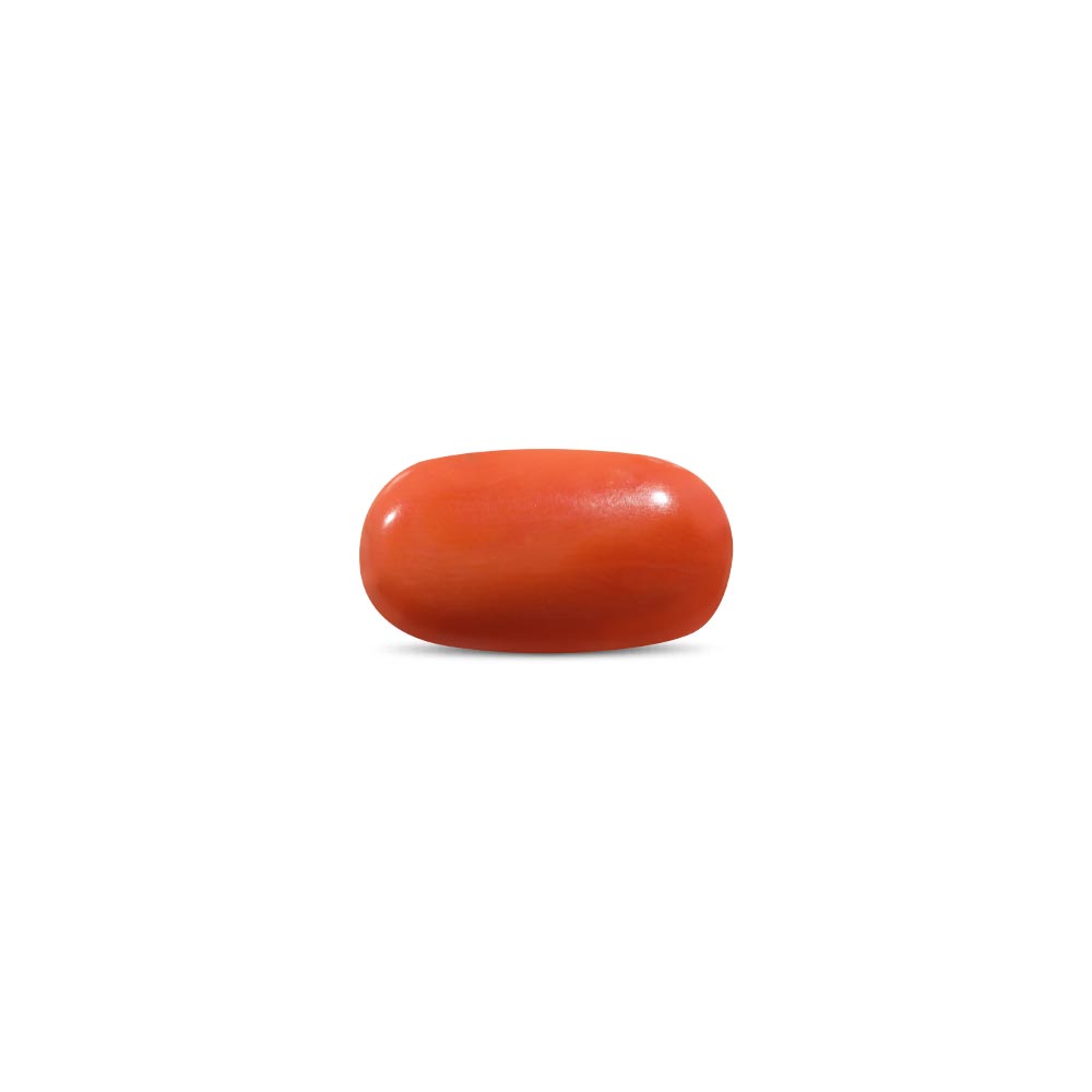 Red Coral - 7.27 Carat
