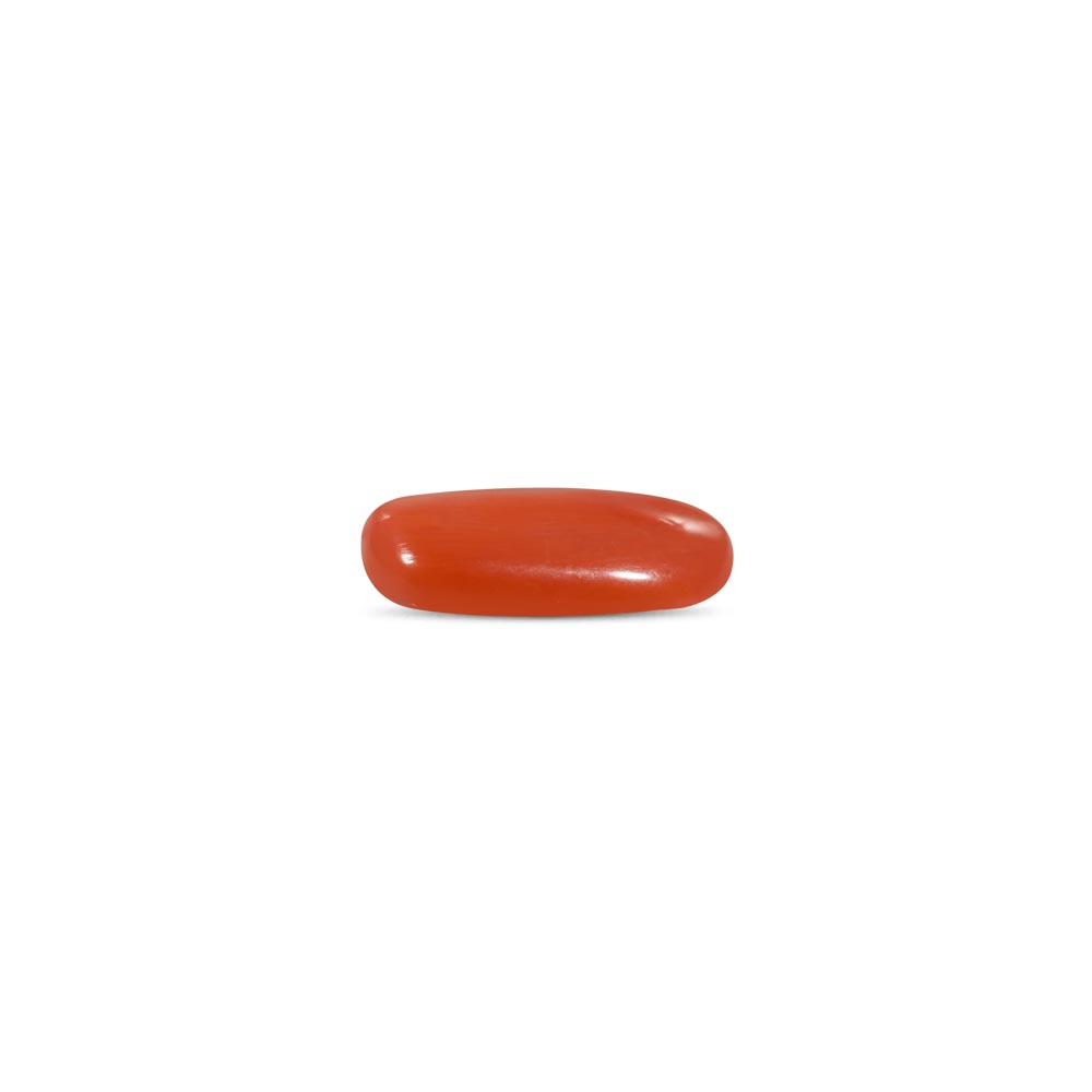 Red Coral - 7.27 Carat