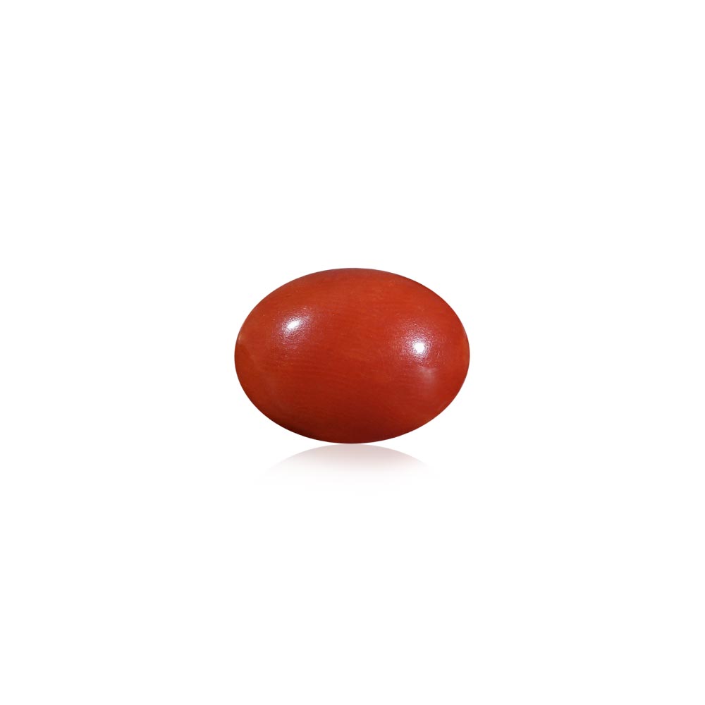 Red Coral - 7.31 Carat