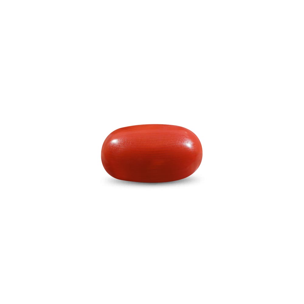 Red Coral - 7.34 Carat