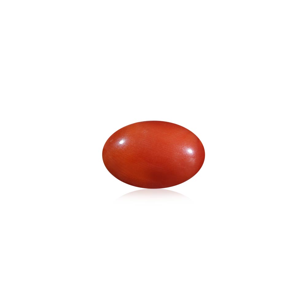 Red Coral - 7.41 Carat