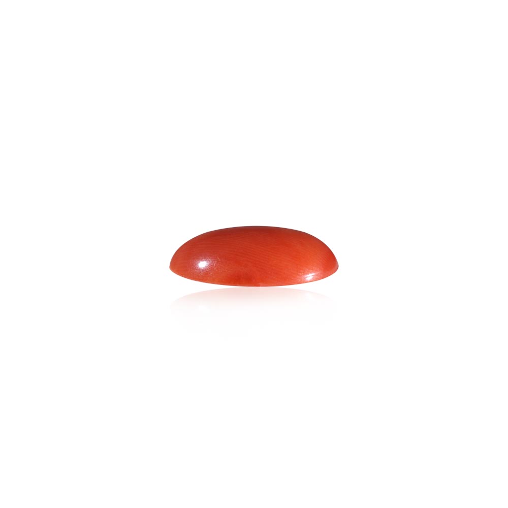 Red Coral - 7.41 Carat