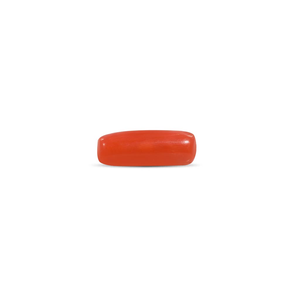 Red Coral - 7.44 Carat