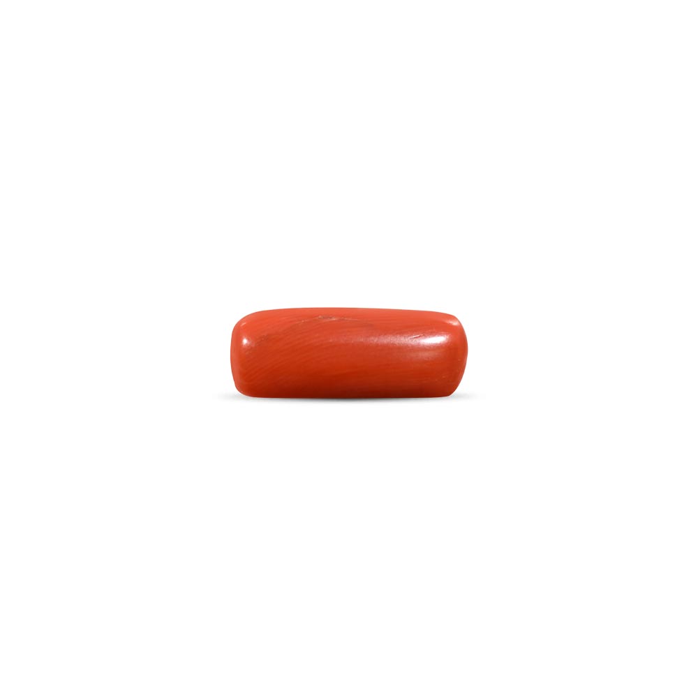 Red Coral - 7.44 Carat