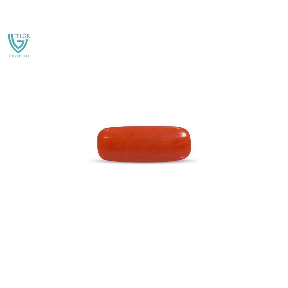 Red Coral - 7.51 Carat