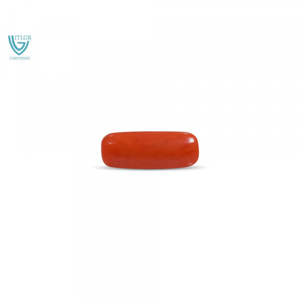 Red Coral - 7.51 Carat