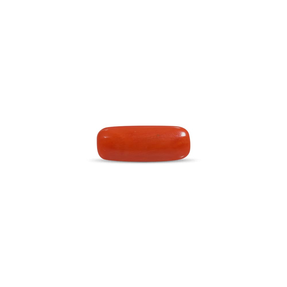 Red Coral - 7.51 Carat