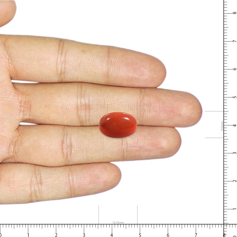 Red Coral - 7.51 Carat