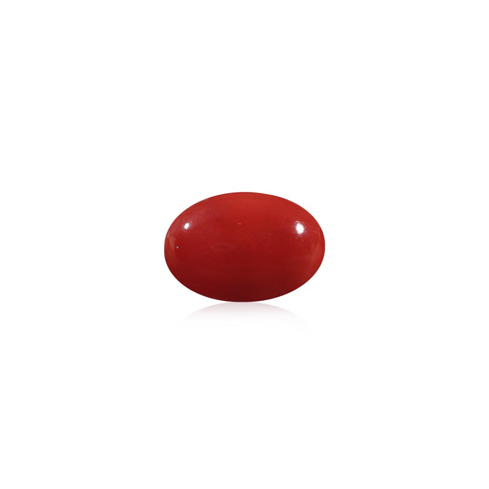 Red Coral - 7.52 Carat