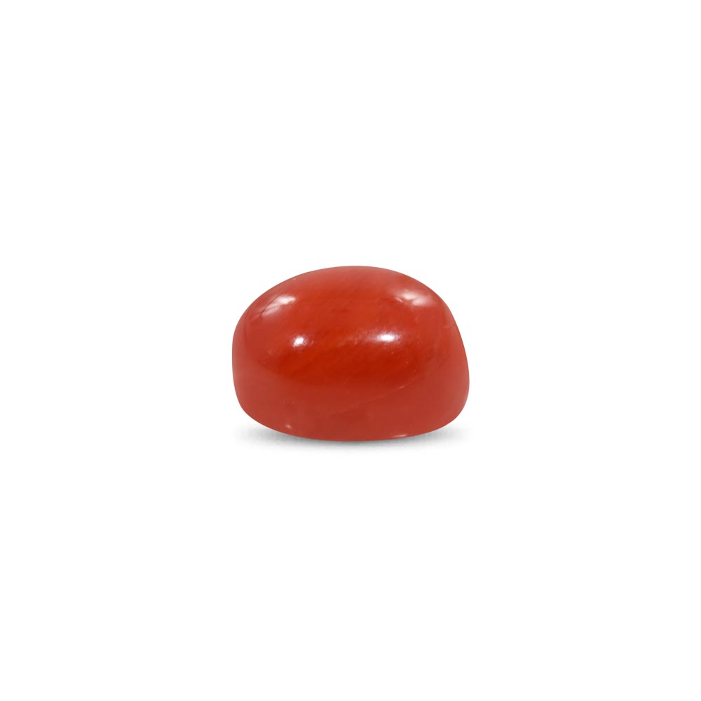 Red Coral - 7.53 Carat