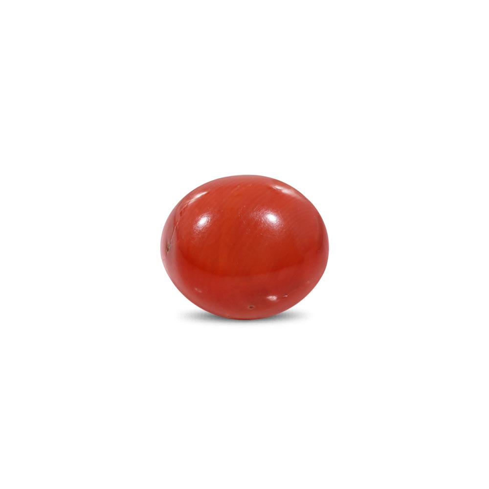 Red Coral - 7.53 Carat