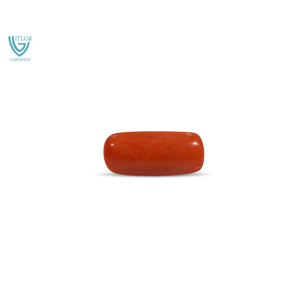 Red Coral - 7.54 Carat