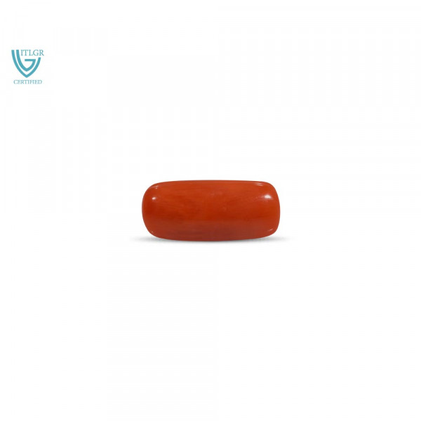 Red Coral - 7.54 Carat
