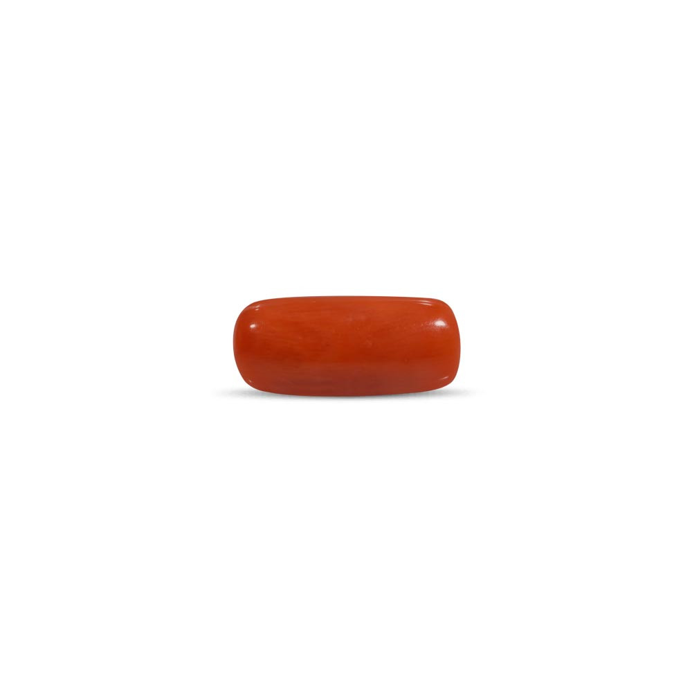 Red Coral - 7.54 Carat